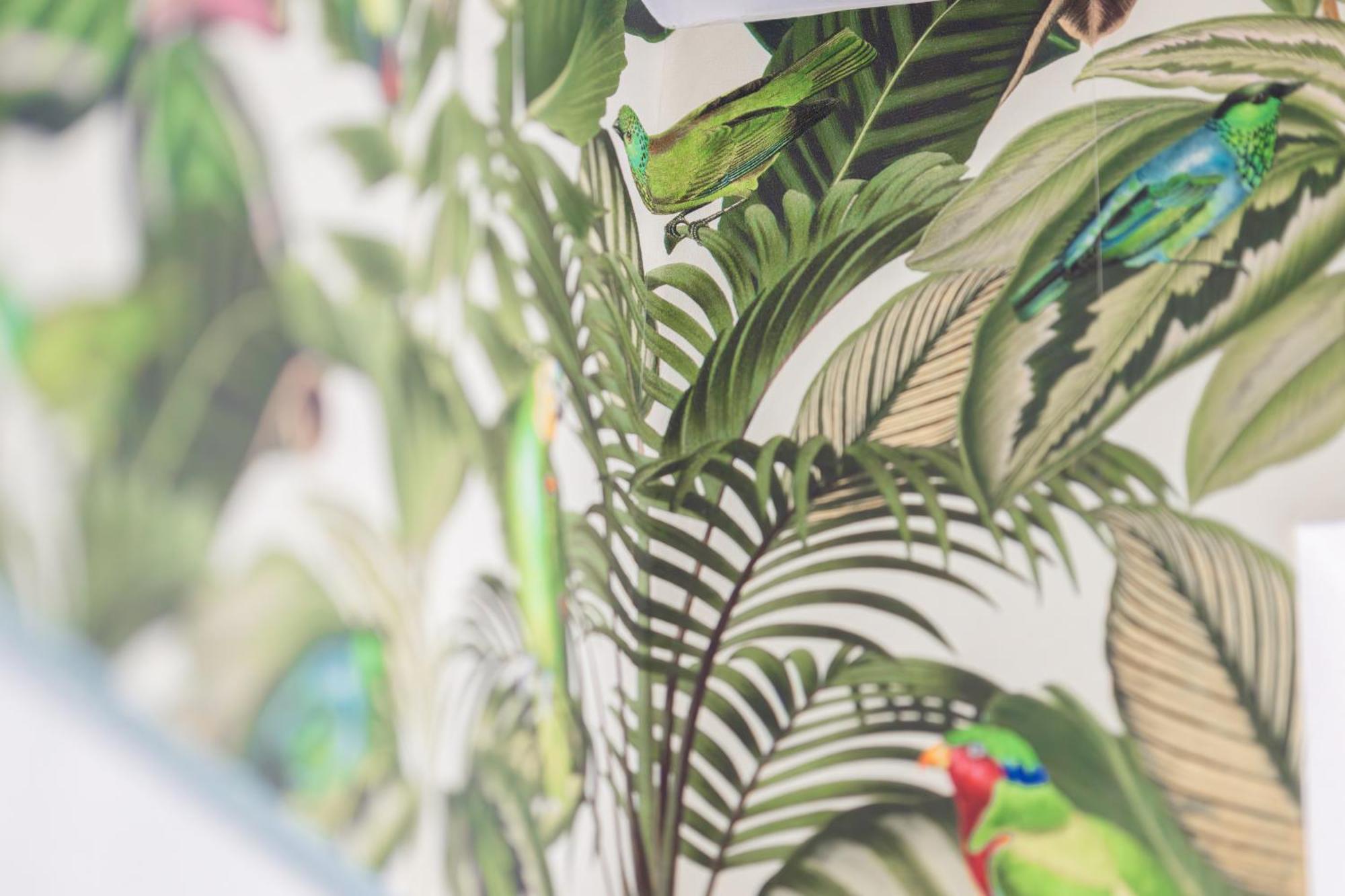 Stay Awesome - Urban Jungle Apartment Zentral, Wilhelmshoehe Kassel Buitenkant foto